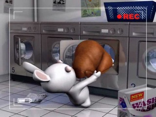 rabbits don't know how to use a washing machine