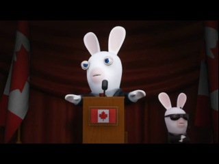 mad rabbits elections