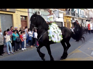 santa teresa di riva (me) - a majestic friesian horse at the spring festival
